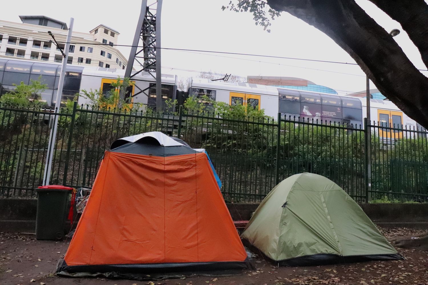 Pictured: Tents at Belmore Park, Sydney.