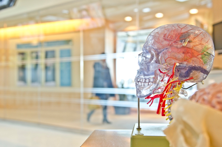 Does NDIS address the needs of traumatic brain injury thrivers?